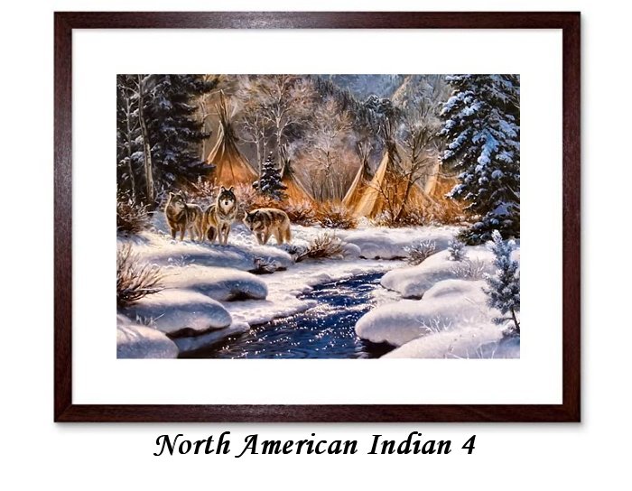 North American Indian Framed Prints